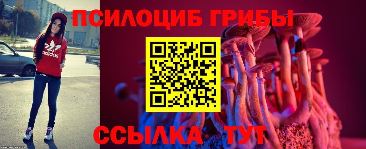 Псилоцибиновые грибы мицелий Омск