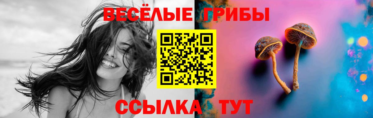Омск  Псилоцибиновые грибы прущие грибы  Вход с VPN 