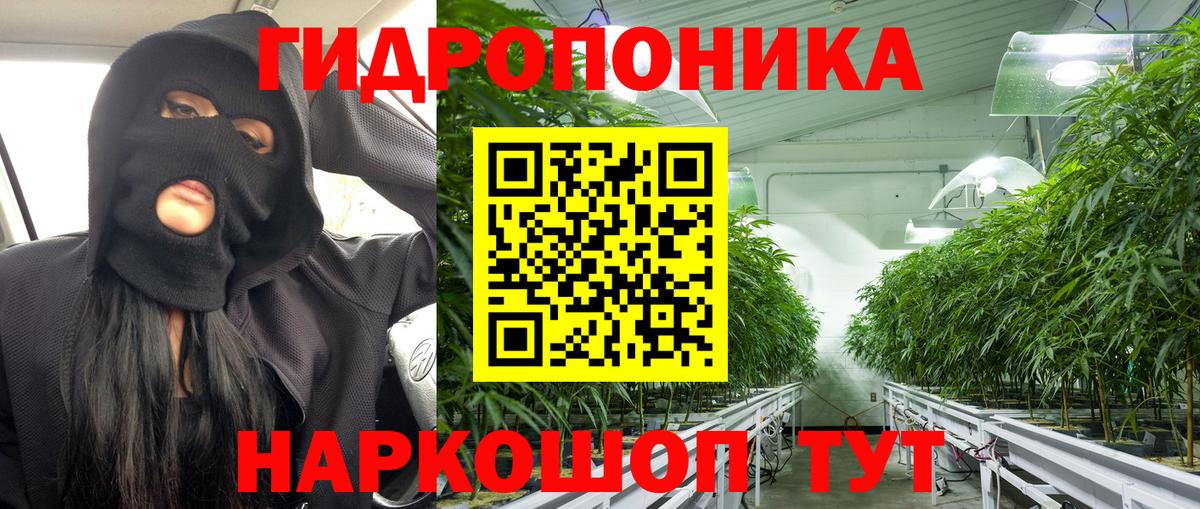 Бошки Шишки SATIVA & INDICA  Вход с VPN  Бошки марихуана марихуана  Канабис OG Kush  Шишки марихуана гибрид  Омск 